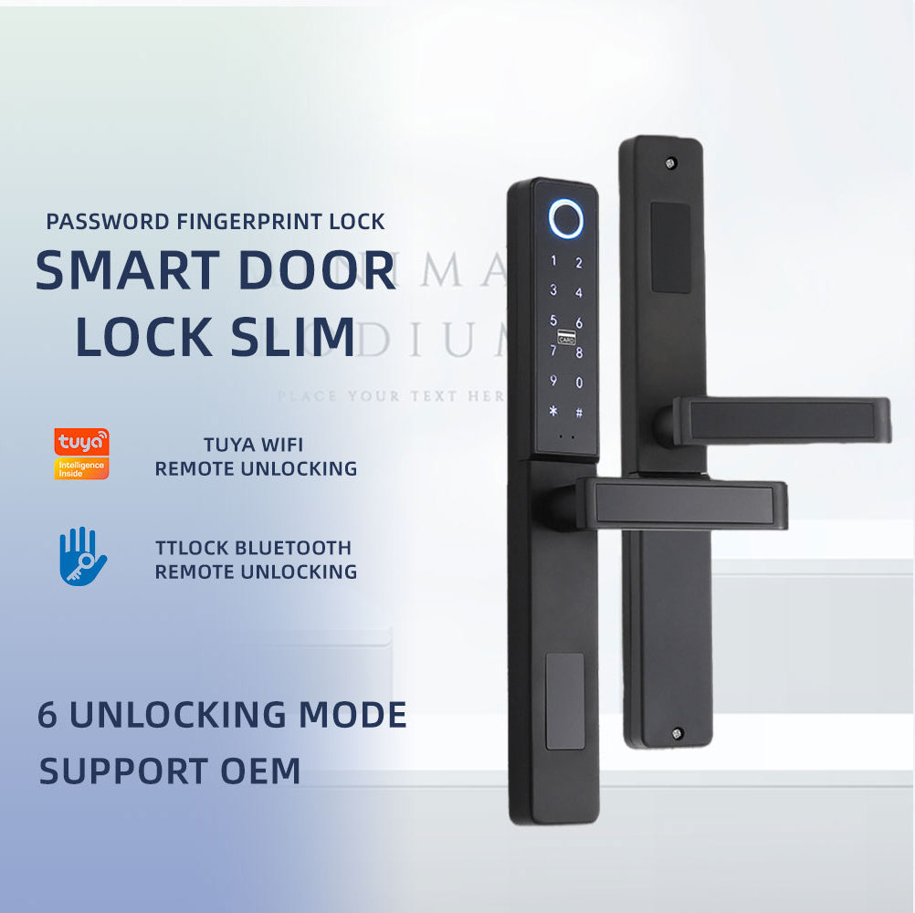 BBDHOME Front Door Keyless Entry Door Lock Wifi Bluetooth Fingerprint Digital Keypad Aluminum Swing Silm Door LOCK With Handle