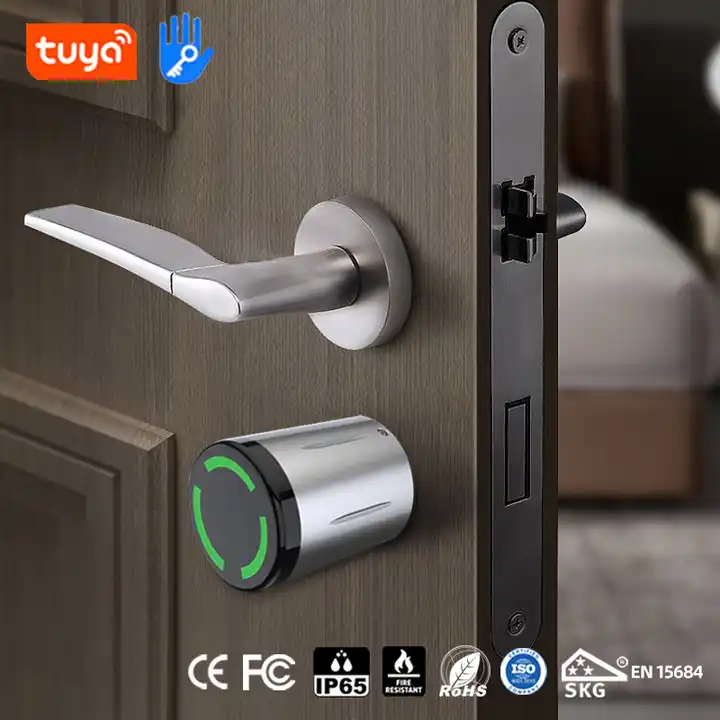 BBDHOME Wholesales Ttlock Tuya Adjustable Length Keyless IP65 Waterproof IC Card Digital Smart Door Lock