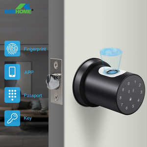 BBDHOME Hotel Office Apartment Keyless Entry Easy Install Tuya App Control Fingerprint Lock Smart Door Knob