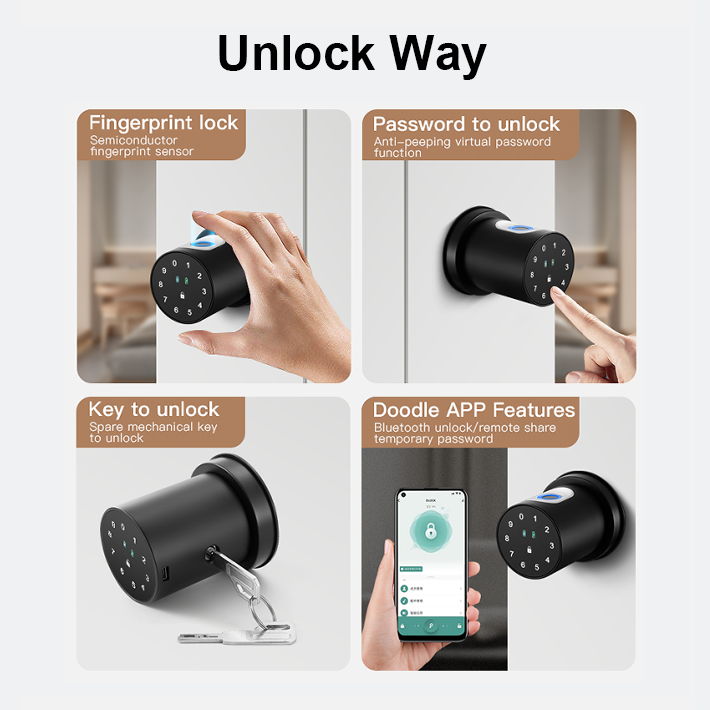 BBDHOME Hotel Office Apartment Keyless Entry Easy Install Tuya App Control Fingerprint Lock Smart Door Knob