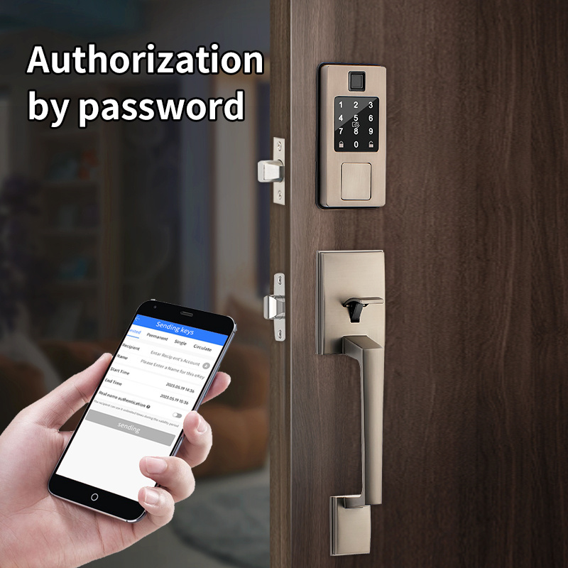 Tuya TTlock Remote Control Front Entrance Door Ble Card Fingerprint Unlock Intelligent Smart Deadbolt Lock