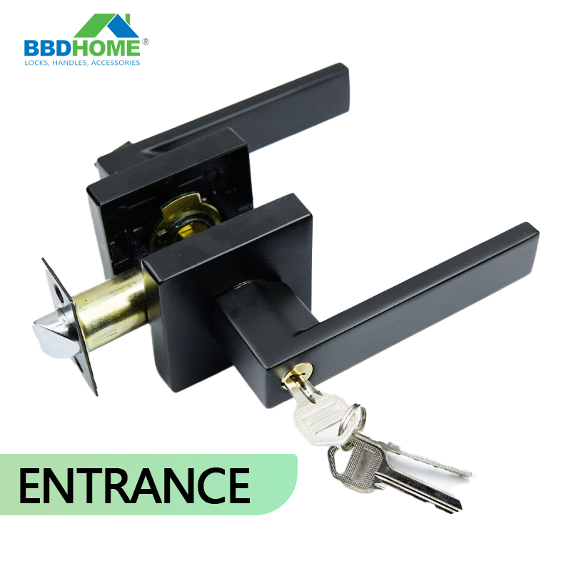 Modern Main Wooden Entry Exterior Interior square Entrance privacy passage dummy Black Tubular door knob lever latch handle lock