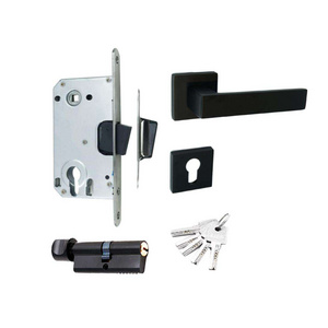 Factory Euro Metal square Rosette  key escutcheon Modern Black Zinc alloy locks and door handle for door