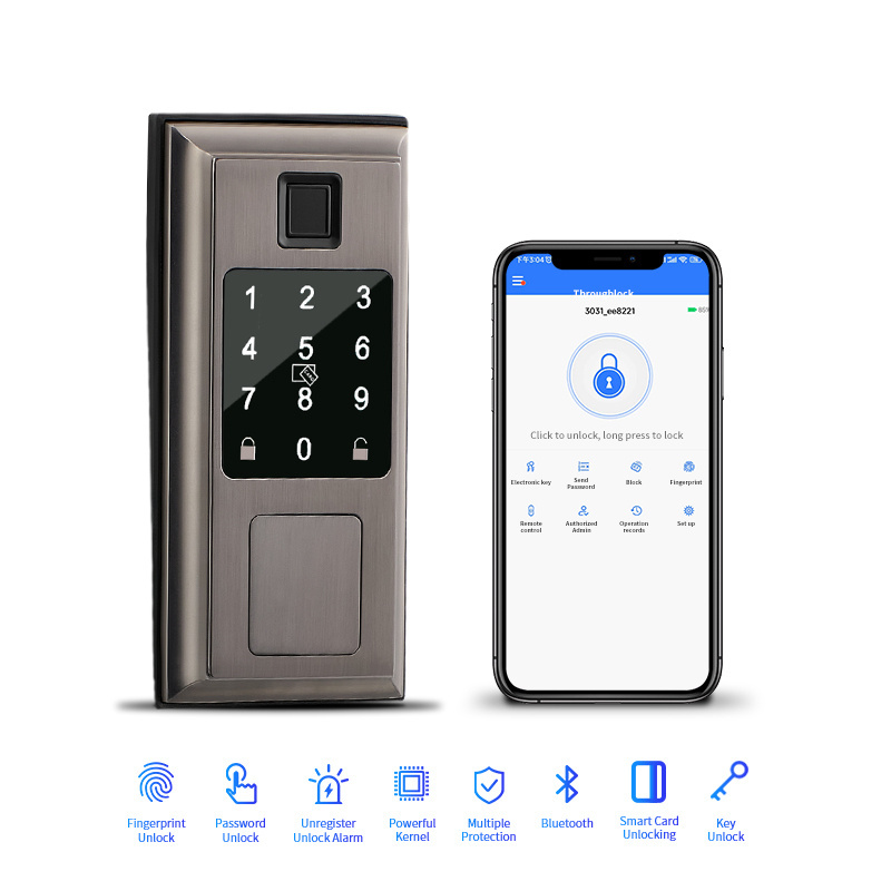 Bluetooth APP Control Without Handle Interior Entrance Door Alexa Google Assistant Smart Deadbolt Keypad Lock