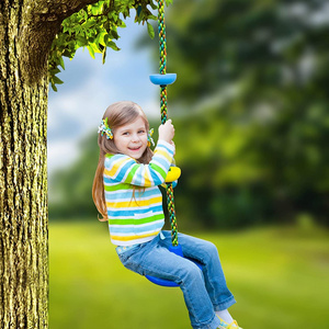 Playground Accessories Outdoor Kids Children Disc Rope Climbing Swing Tree Swing for Kids with Straps