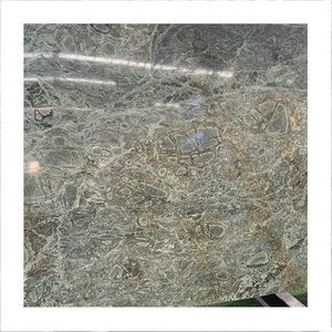 Luxury Peacock Green Wizard Of Oz Slabs Price Big Slab Or Tile Marble