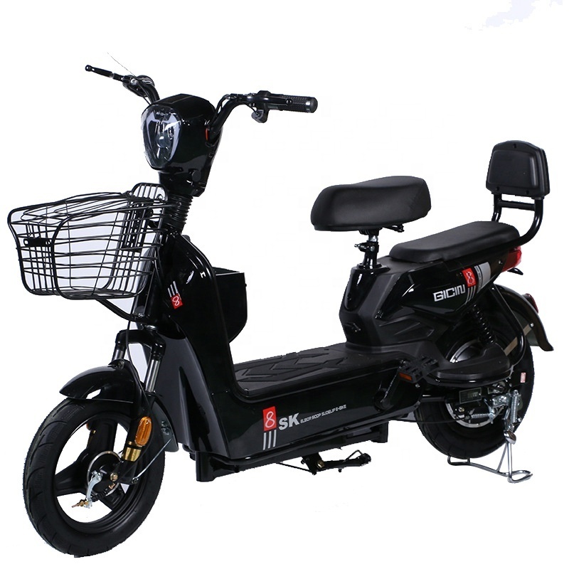 The cheapest OEM/ODM Powerful in 2022 2 seats Wholesale 100% Brand new electric street adults bike