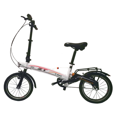 Paige Electric folding bike 250w lithium battery factory direct sale fast bicycle e-bike wholesale e all e-bicycle ebike