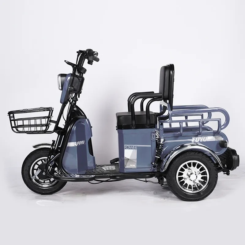 China Hebei Electric Trike 3 Wheel Motorcycle Three Wheel tricycle for disabled