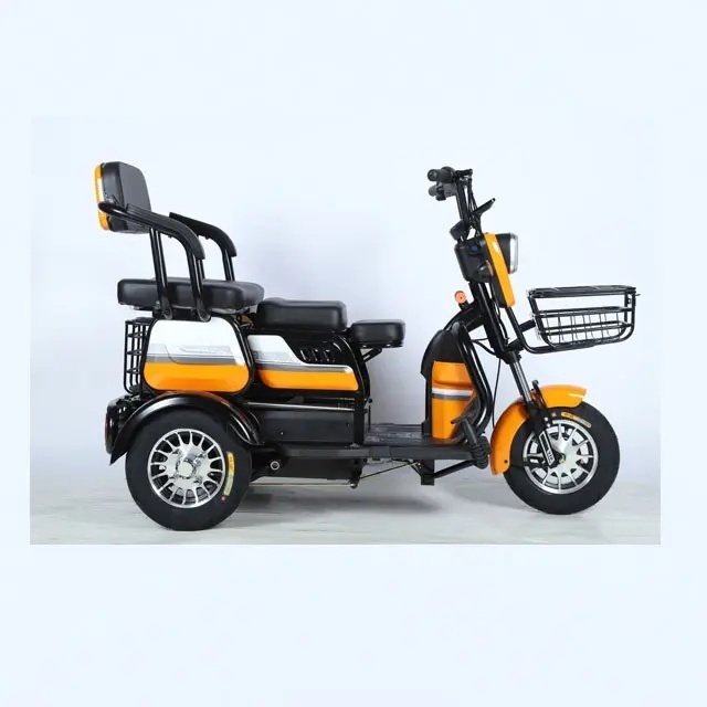 2024 New Senior 2 Person Electric Mini Car 3 Wheel Electric Tricycle Bike Cabin Small