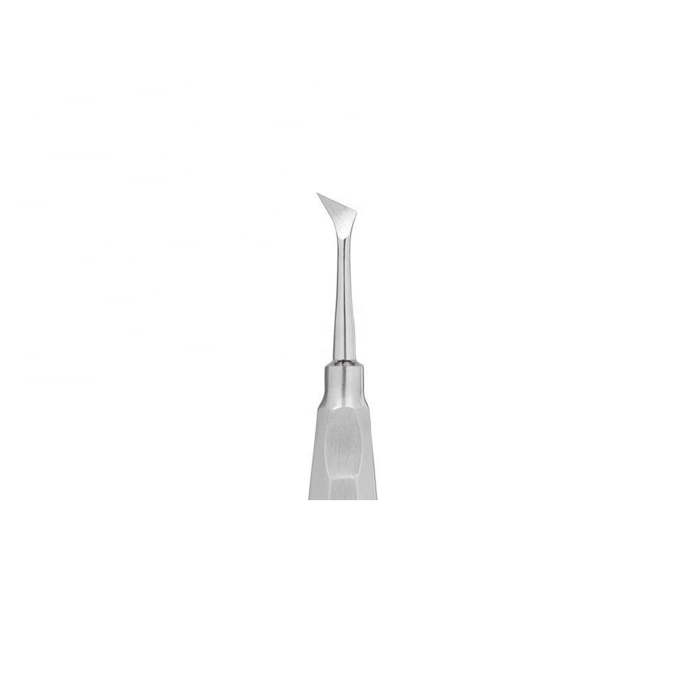 Dental Root Elevators High Quality Stainless Steel Surgical Dental Equipment Made in Sialkot Pakistan Wholesale Price