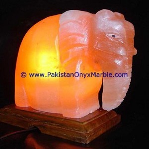 antique himalayan usb animals salt lamps crafted swan cat dog elephant horse owl fish Mini Salt Lamps