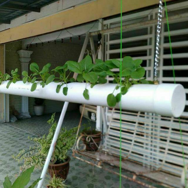 2 inch perforated PVC pipe for hydroponics