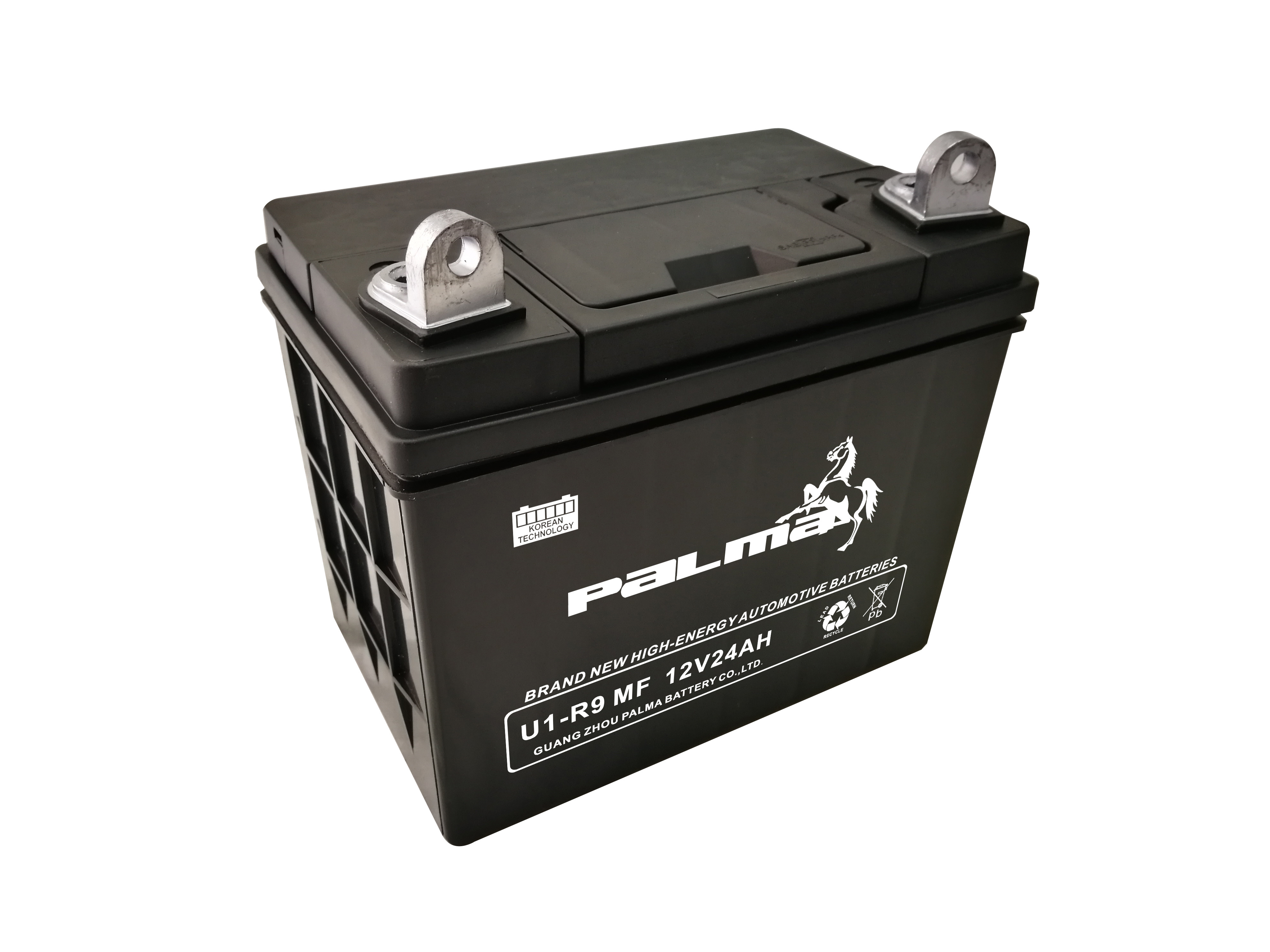 Palma 12V 24Ah Maintenance Free Lawn Mower Battery Factory Replacement Battery for Deere Tractor/Mower