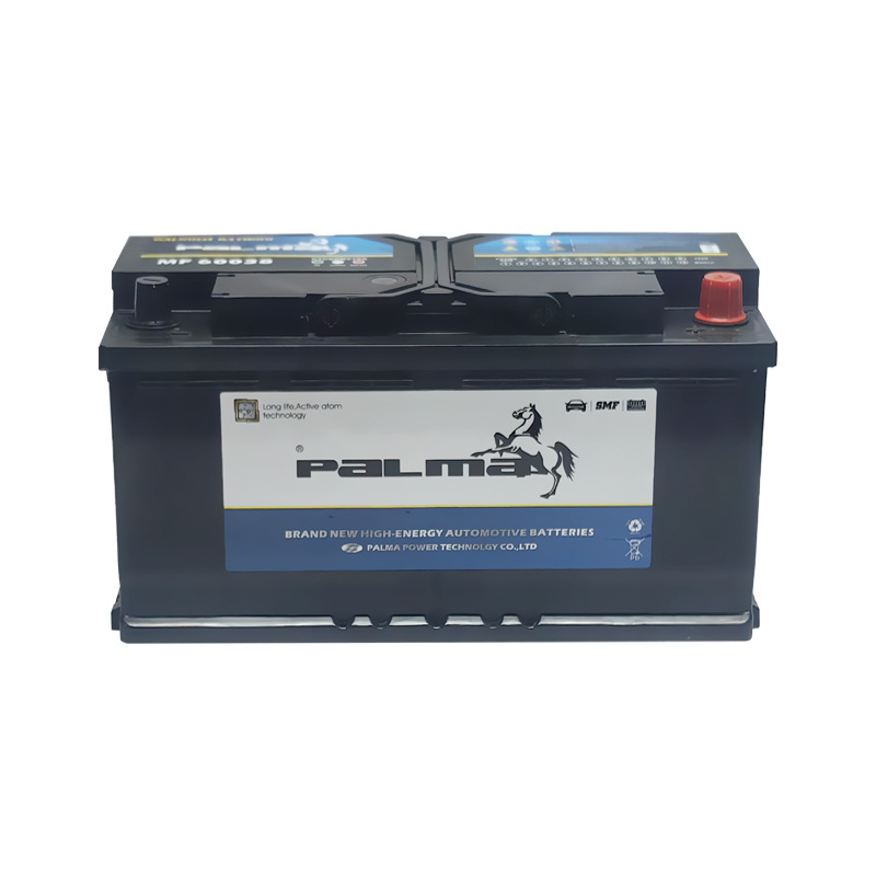 Palma Factory germany standard battery 12V 100AH super capacitor batteries 60038 car auto battery