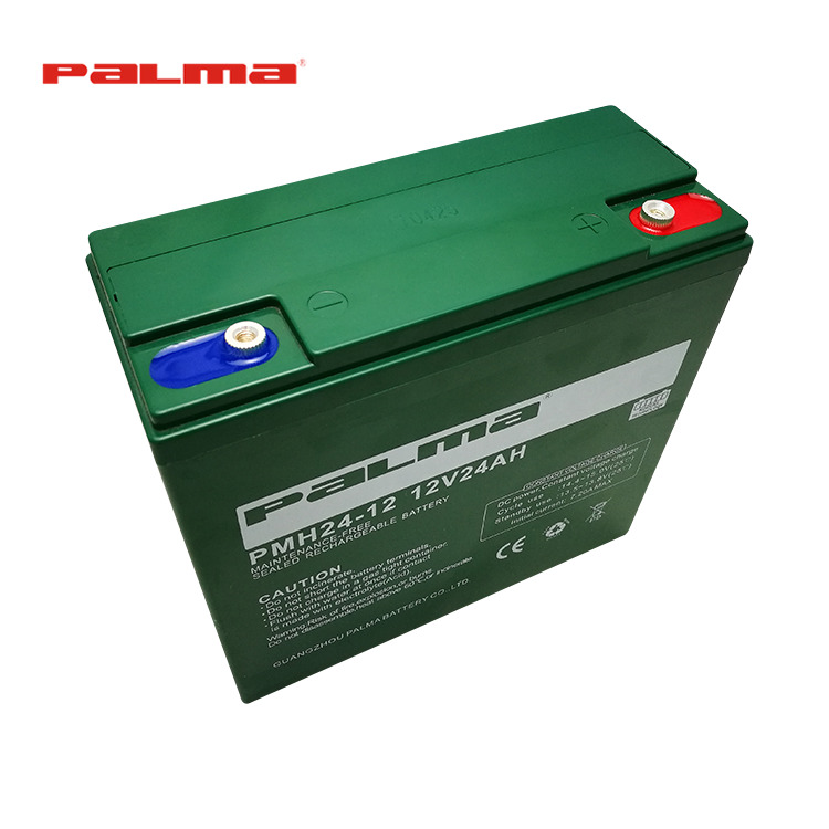 Superior Quality Special Design Giant e Bike Battery,Electric Bike Battery 12 v 24ah,Lead-Acid Batteries For Electric Bikes