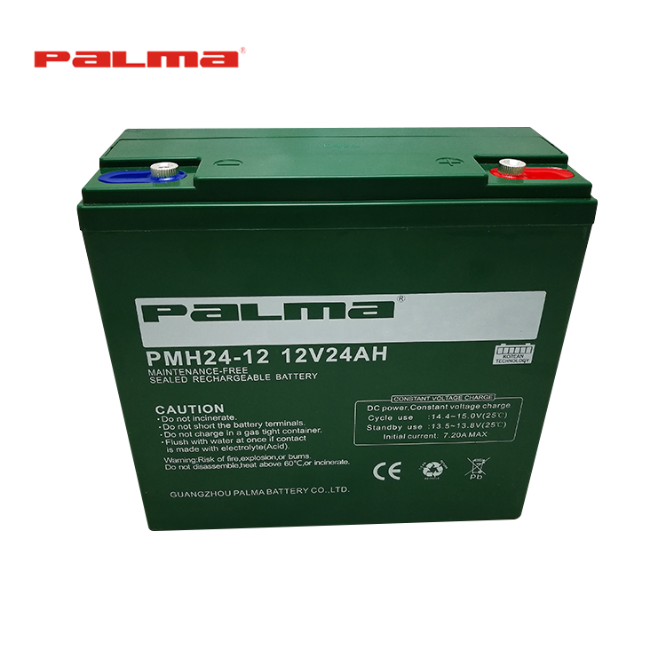 Superior Quality Special Design Giant e Bike Battery,Electric Bike Battery 12 v 24ah,Lead-Acid Batteries For Electric Bikes