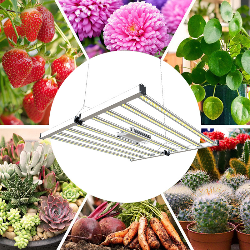 Pan American Led Grow Light 640W Aluminum Full Spectrum Grow Light Waterproof Lighting Plant Growth Led Led Lamp For Plants Grow