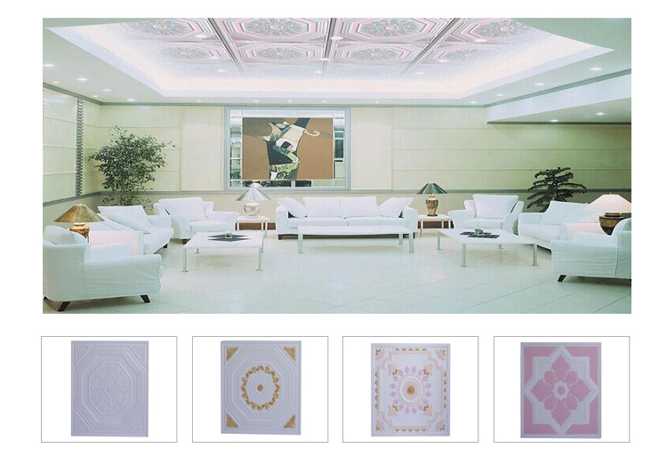 PANDA Gypsum False Ceiling Coloured