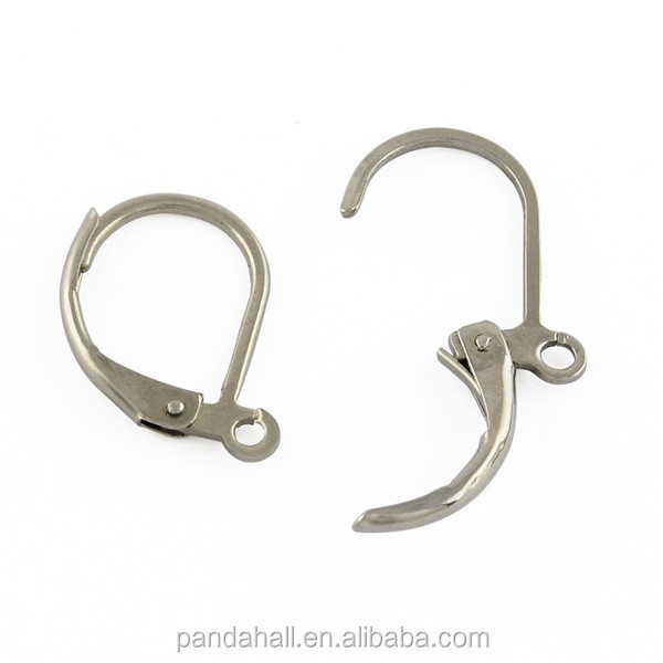 Pandahall 304 Stainless Steel Jewelry Findings French Lever Back Earrings Findings