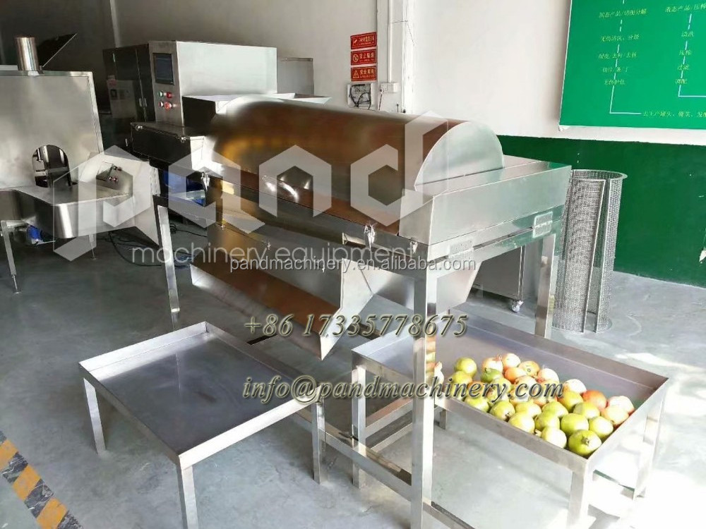 Automatic lemon/cactus/pomegranate seeds separator machine