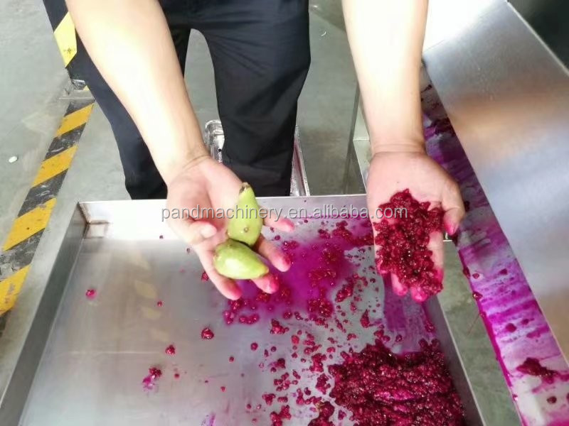 Fresh pomegranate peeling machine seeds separator removing machine deseeder machine