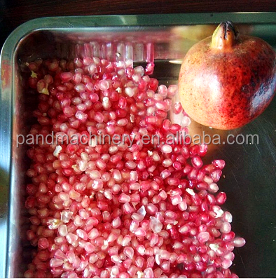 passion fruit seed remover machine