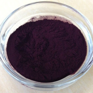 Japanese High Quality Black Soybean Seed Coat Extract Raw Material Powder Made In Japan For Health Foods And Dietary Supplement