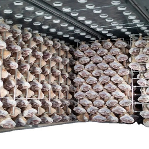 Ham Precuring Machine