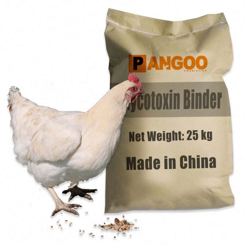 Best mycosorb toxin binder for horses years of experience