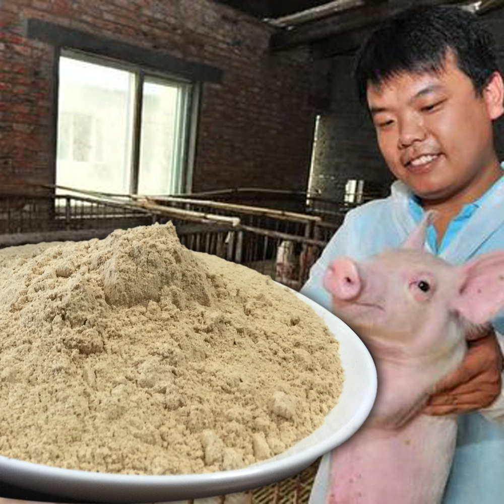 PANGOO FEED PROBIOTICS FOR PIG FEEDING/Piglet/Sow/as feed additives