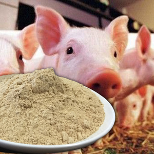 PANGOO FEED PROBIOTICS FOR PIG FEEDING/Piglet/Sow/as feed additives