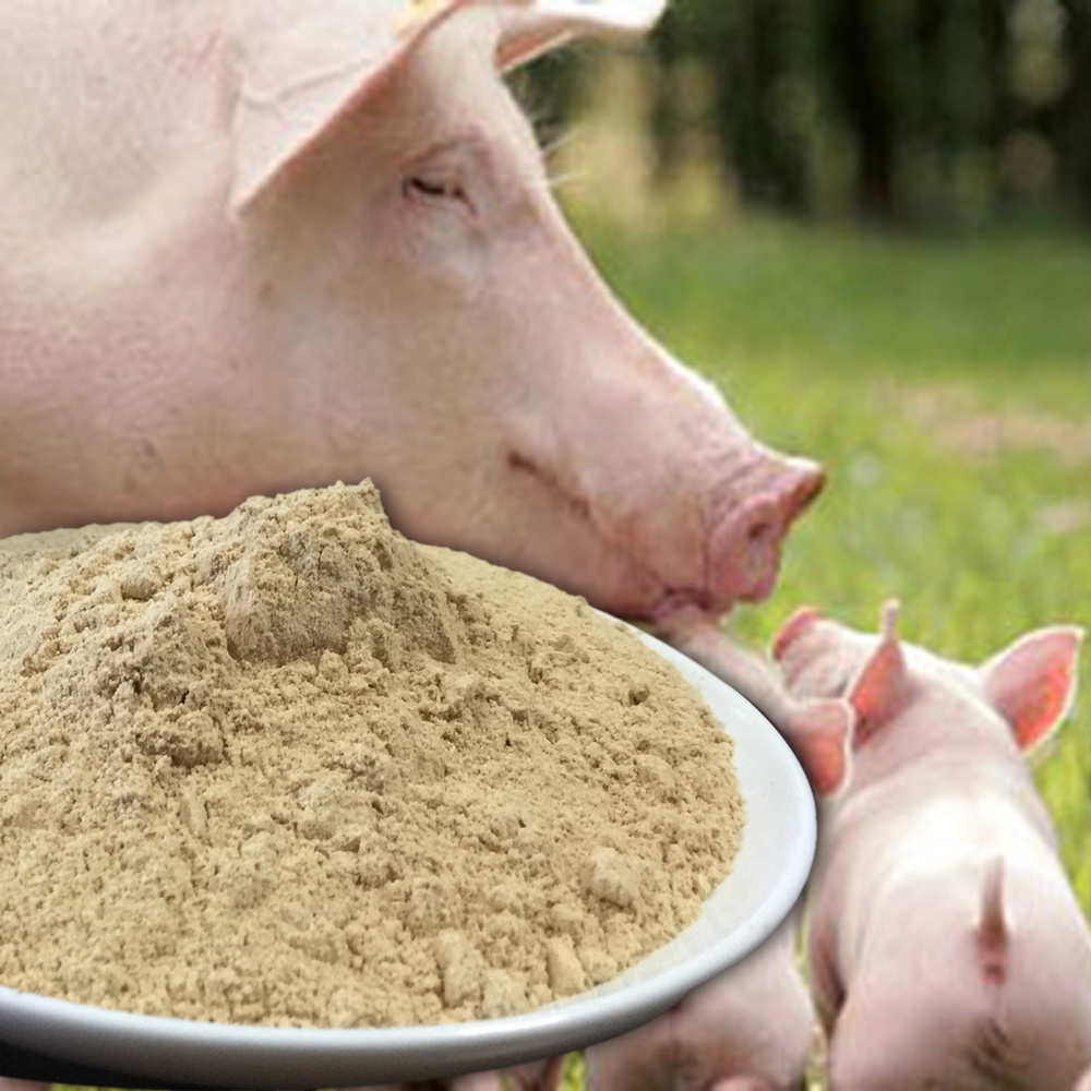 PANGOO FEED PROBIOTICS FOR PIG FEEDING/Piglet/Sow/as feed additives