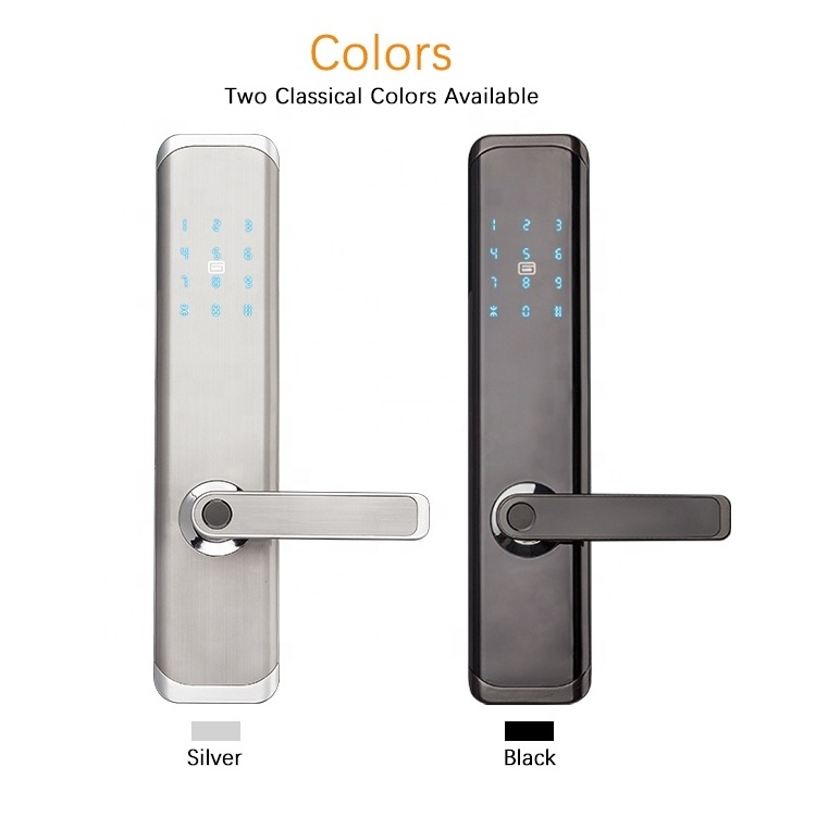 Keyless automatic door lock fingerprint biometric lock 6068 mortise WiFi APP access