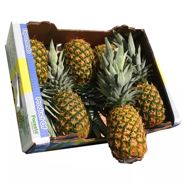 Sweet fresh pineapples fruit shipping carton packaging packing pineapple export cardboard corrug cartons box for fresh fruit