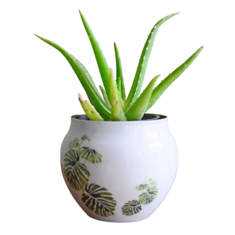 This Wide Planter Cylindrical Shape Sticker Enamel White Colour Looks Great Styled on Coffee Tables Side Tables Shelves & Ledges