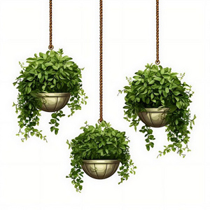 Must Have Item Hanging Potted Metal Gold Colour Plant Interior for Decorative Home & Garden Flower Pots & Planter Wholesale Bulk