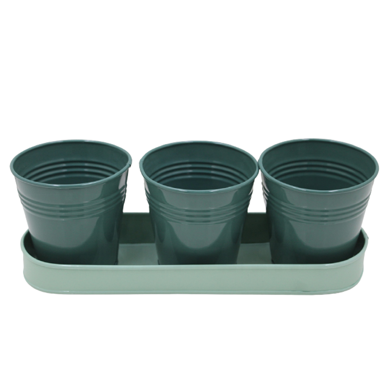 Indoor Iron Oval Tray With 3 Planter Light Green And Dark Green Colour American Design Flower Vase And Pot For Garden Decoration