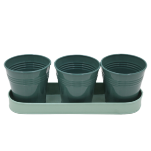 Indoor Iron Oval Tray With 3 Planter Light Green And Dark Green Colour American Design Flower Vase And Pot For Garden Decoration