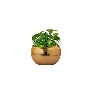 Traditional Brass Planters For Indoor Plants Copper And Brass Planters Garden Home And Roof Planters