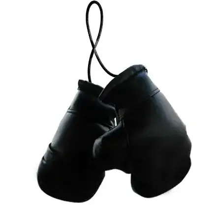 Cheap Mini Boxing Glove Key Chains Cheap Price High Quality keychains With Low Price