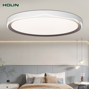 Round Led Light Ceiling Decoration Led Lighting Ceiling Plug-in Led Ceiling Lamp