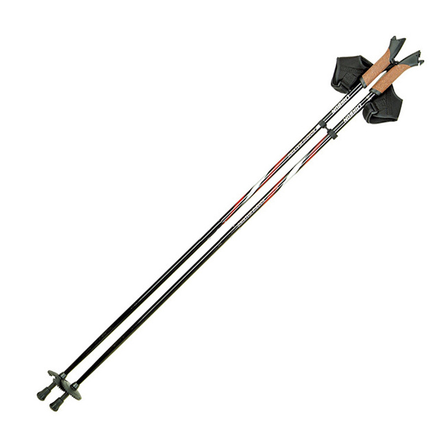 High Quality China OEM ODM factory price cross country ski poles, heated ski pole