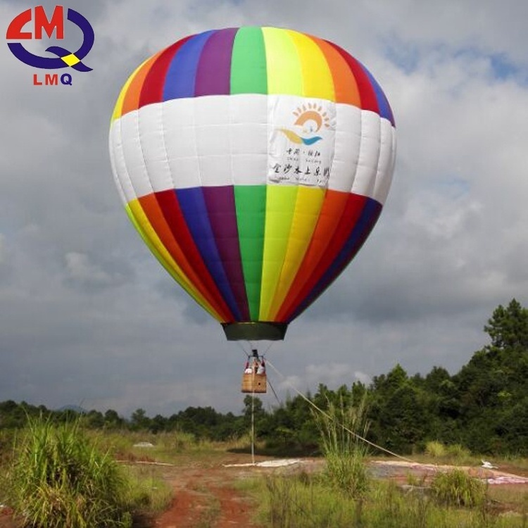 Wholesale Colorful 2-20 Persons Factory Price Fairground Ride Hot Air Balloons for Sale