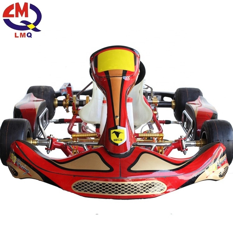 Amazing Rides 100/200cc Engine Most Popular Kart Power Go Kart