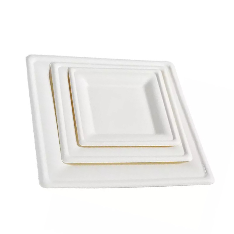 Printable sugarcane bagasse square plates square leakproof white Bagasse disposable plates