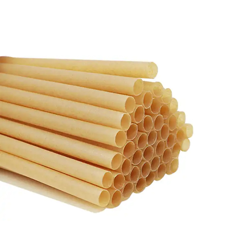 custom bio-degradable disposable bagasse straws