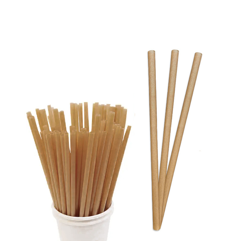 custom bio-degradable disposable bagasse straws