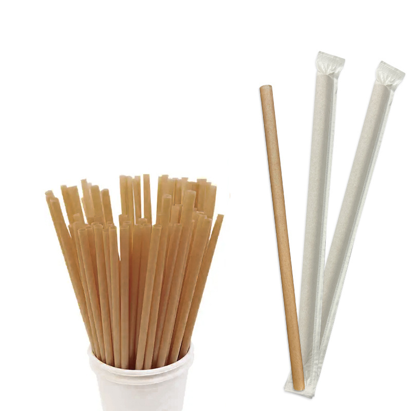 custom bio-degradable disposable bagasse straws