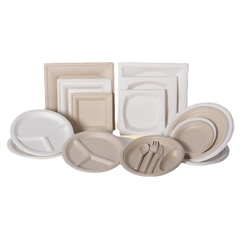 Printable sugarcane bagasse square plates square leakproof white Bagasse disposable plates